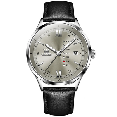 Heritage Aegis Watch